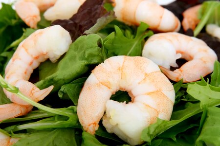 Appetizer calorie crab