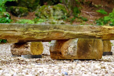 Bench forest mountain