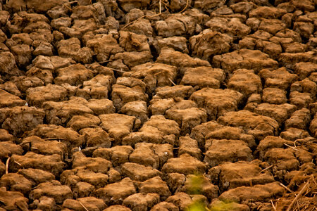 Parched Earth