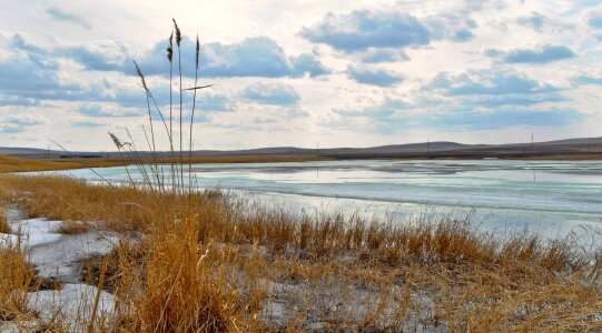 Lake yellow water