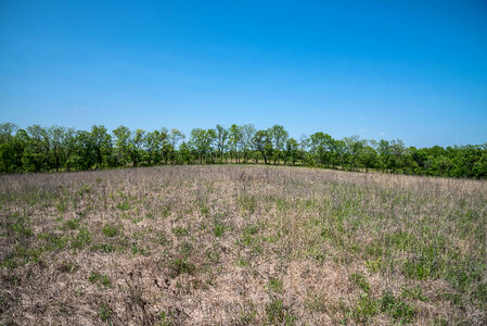 Farm fields and trees 