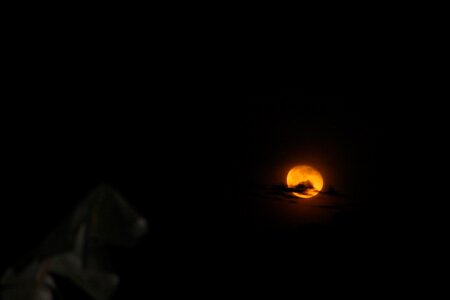 Moon dark night photo