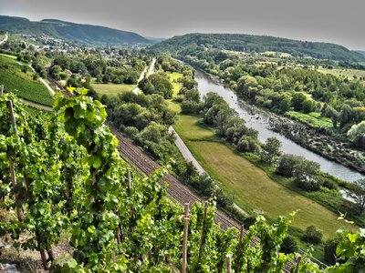 River water vineyards