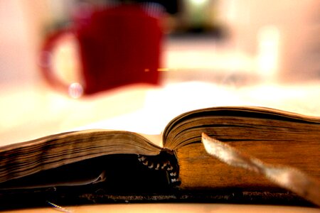 Antique book education