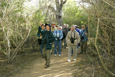 Visitors on a guided tour photo
