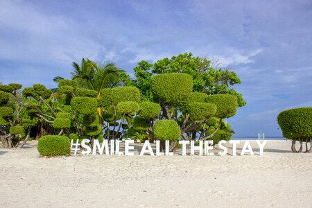 Smile All the Stay Sign Placed on the Beach with Trees Behind It photo