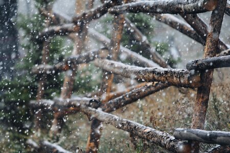 Wooden landscape outdoor