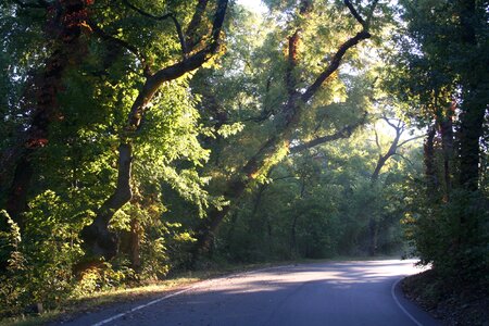 autumn landscape of the perimeter road