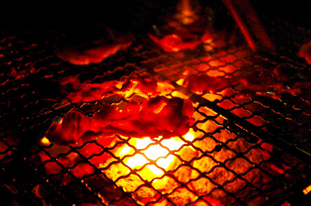 Grilled meat
