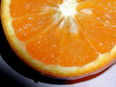 Citrus fruit orange