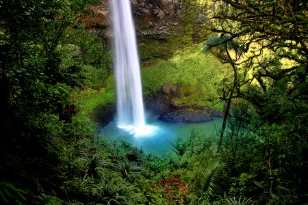 Waterfall nature north island photo