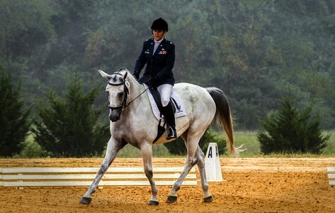 Competition equestrian horseback photo