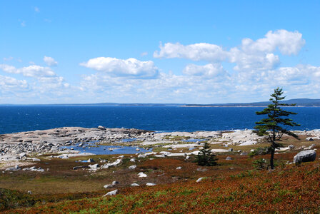 Coastline Landscape in Nova Scotia, Canada photo