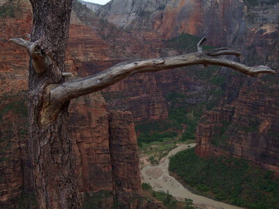 Giant Canyon, Arizona photo