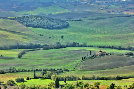 Green tuscany italy photo