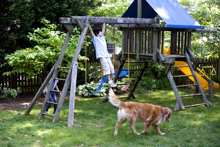 Babies enjoy swing photo