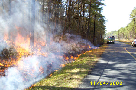 Prescribed Burn at Chesapeake Marshlands National Wildlife Refuge Complex-1 photo