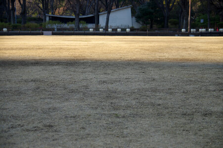12 Hibiya Park