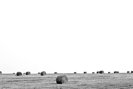 Countryside farm farmland