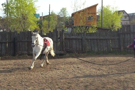 Mustang rural village photo