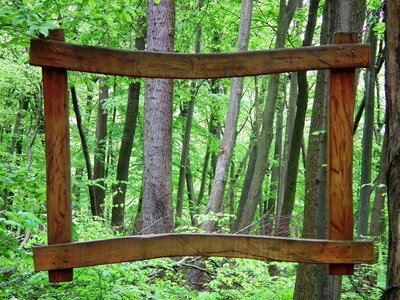 Nature green log