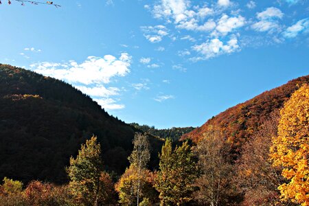 Autumn autumn season blue sky