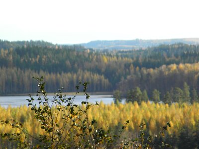 Finnish savonlinna nature