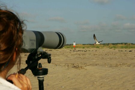 Camera desert photographer