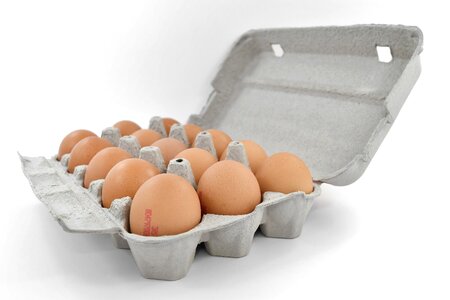Detail dozen egg photo