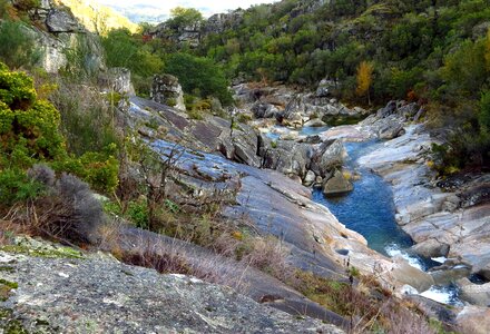 Creek ecology forest photo