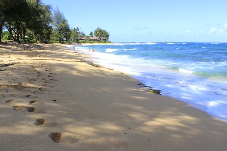 Vacation ocean tropical photo