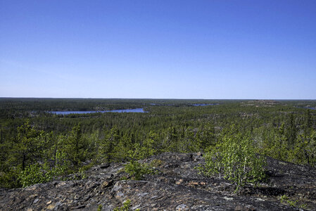 Overlook of Lakes and Pine Forest Landscape on the Ingraham Trail photo