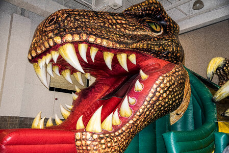 Giant Lizard Dinosaur head