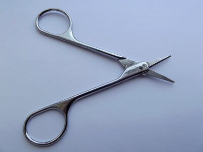 Scissors button court