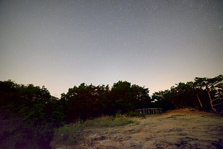 Night Sky and Stars above the trees photo