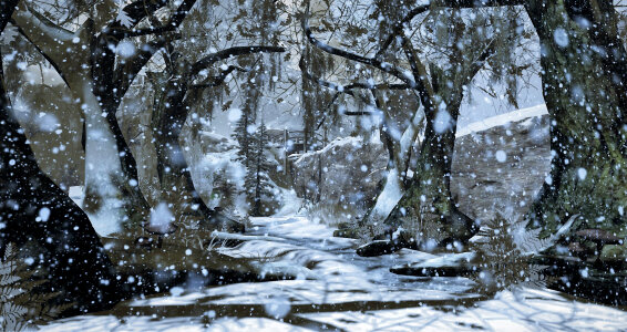 Snowy forest landscape with snow falling photo