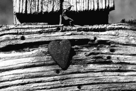 Art black black and white