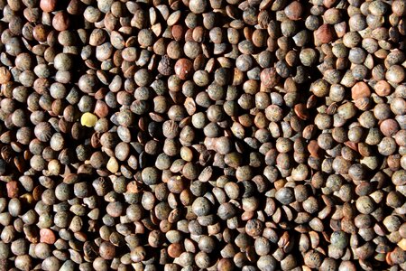 Kernel batch dry