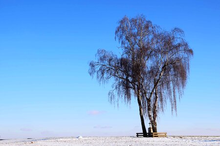 Blue Sky daylight landscape photo