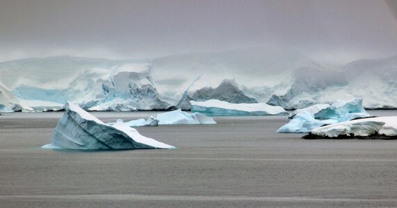 Large icebergs in the water in Antarctica photo