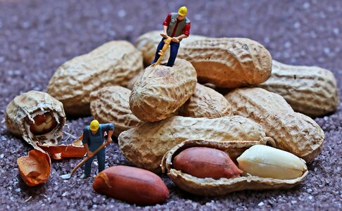 Decoration figure food