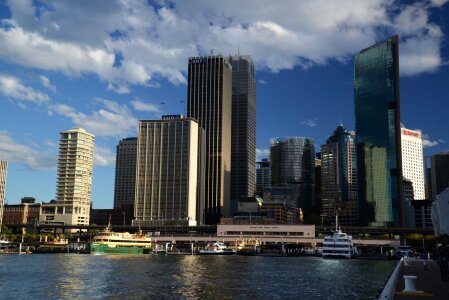 Sydney harbour architecture skyline photo