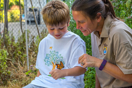 Monarch observed by fws employee and child