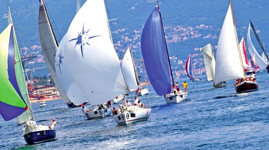 Boat boat race boats