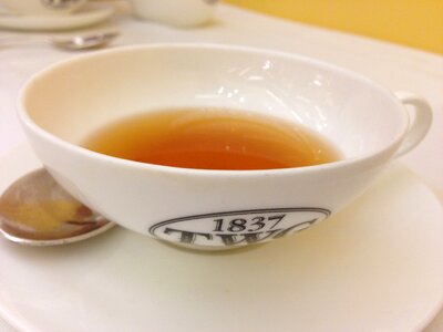 Tea tea cup drink photo