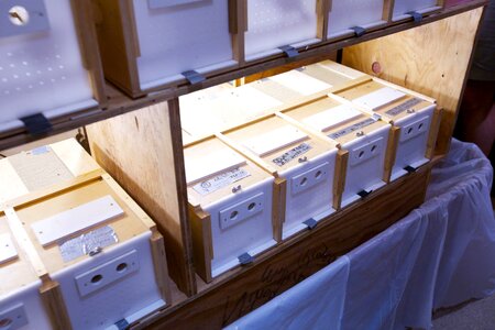 Box boxes little