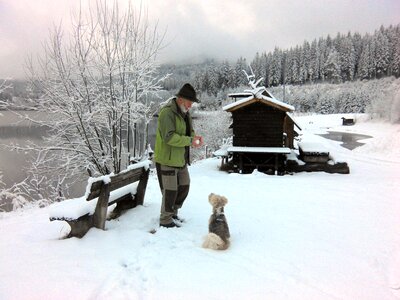 Dog wintry snow landscape photo