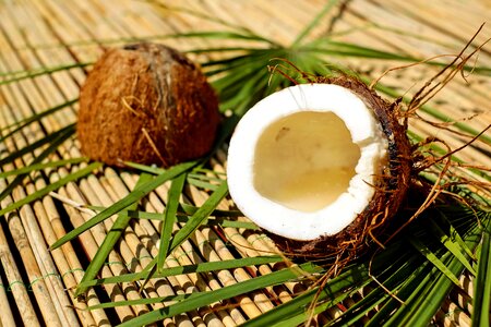 Beautiful Photo coconut diet photo