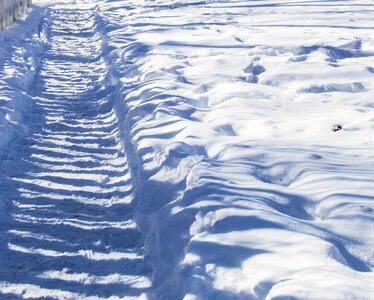 White day winter photo