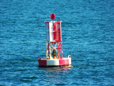 Sea sea buoy tide photo